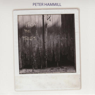 Peter Hammill -  From the Trees